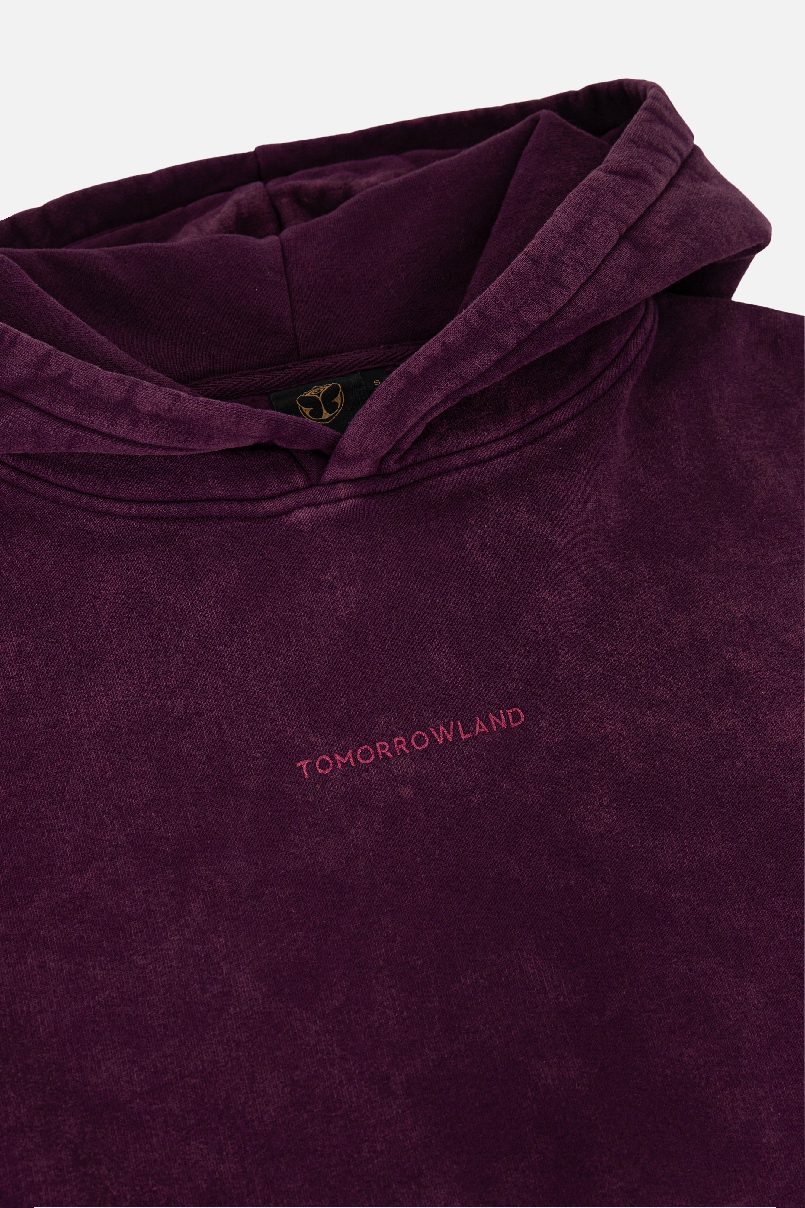 WASHED UNITY FLAG HOODIE WOMEN