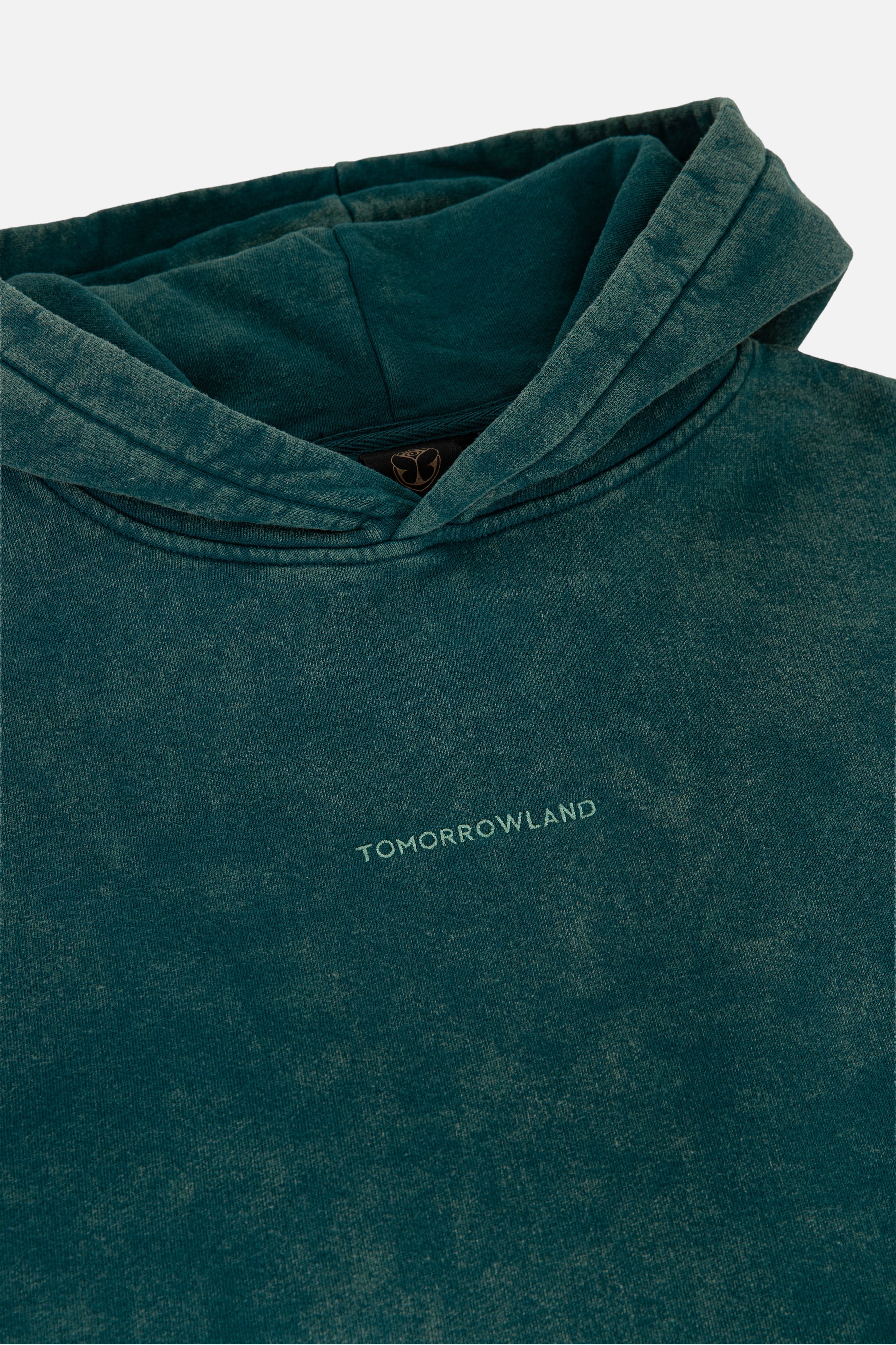 WASHED UNITY FLAG HOODIE