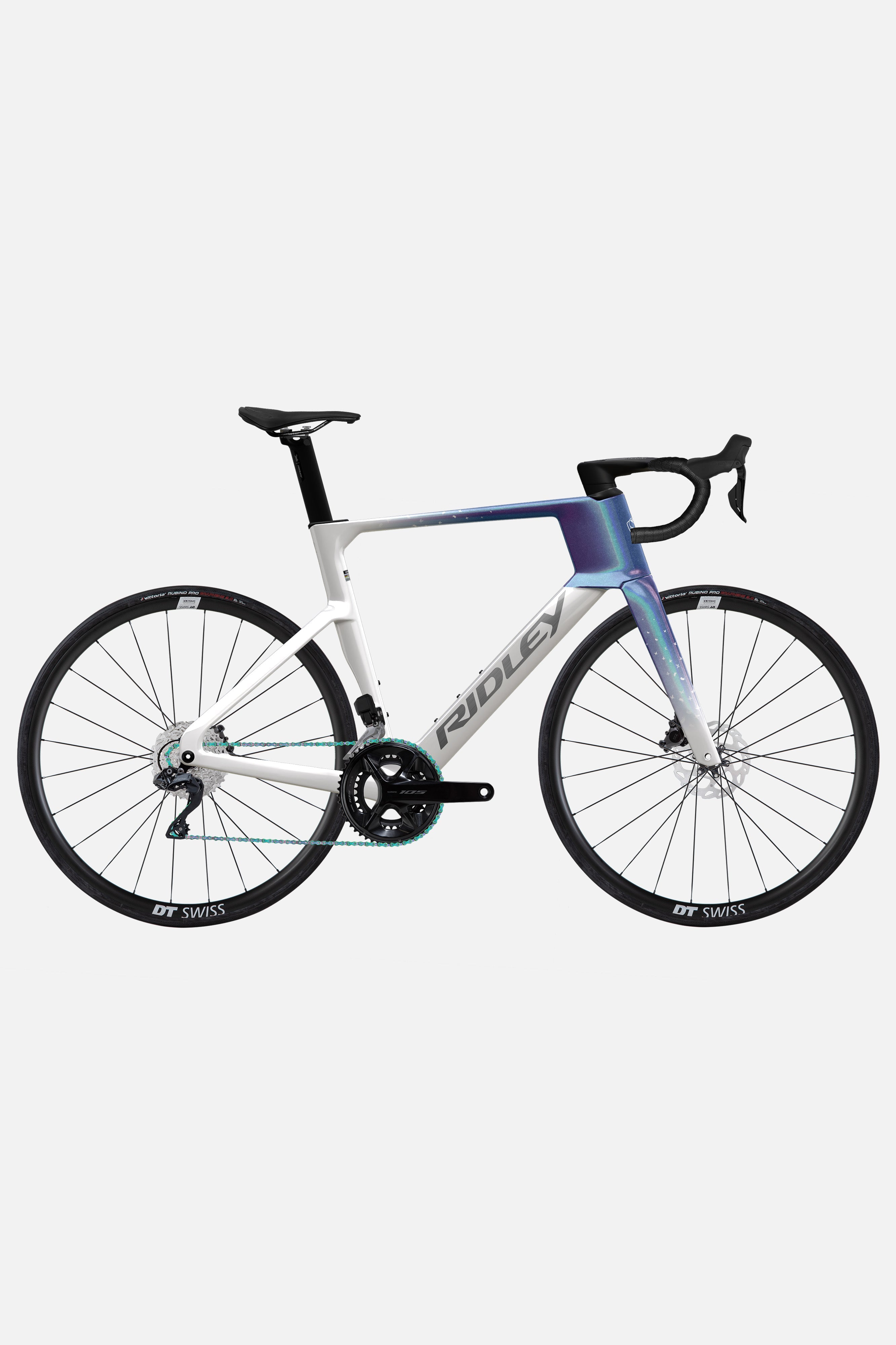 TML x RIDLEY NOAH